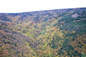 Fishing Cove River Valley from the Cabot Trail Look-Off