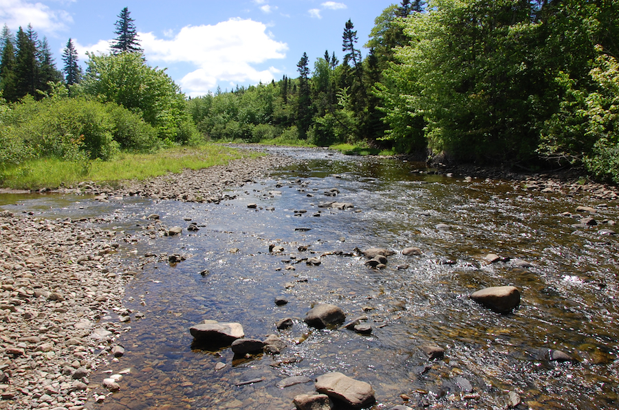 An upstream view of the Southwest Mabou River