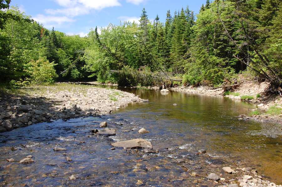 Detail (from a different vantage point) of the downstream view of the Southwest Mabou River