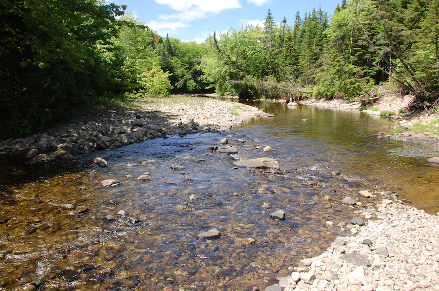A downstream view of the Southwest Mabou River