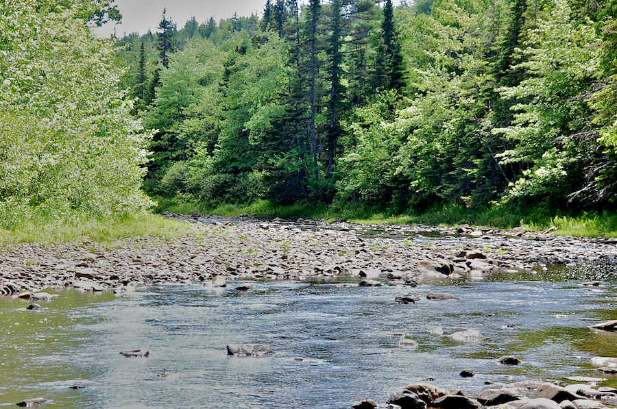 Detail of the upstream view of the Southwest Mabou River
