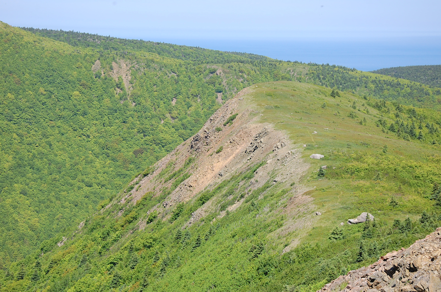 The summit of Meat Cove Mountain from near the top of the ridge