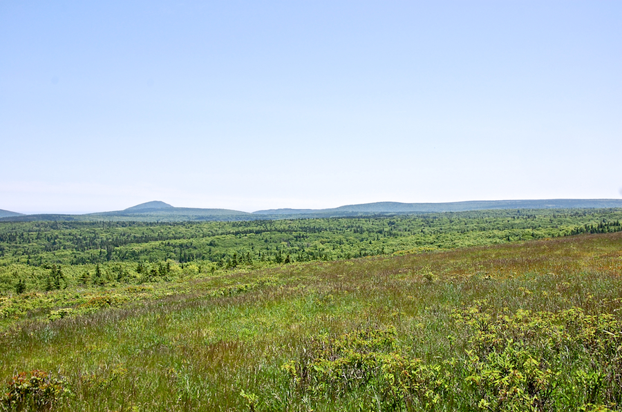 Wilkie Sugar Loaf and the Cape Breton Highlands Plateau