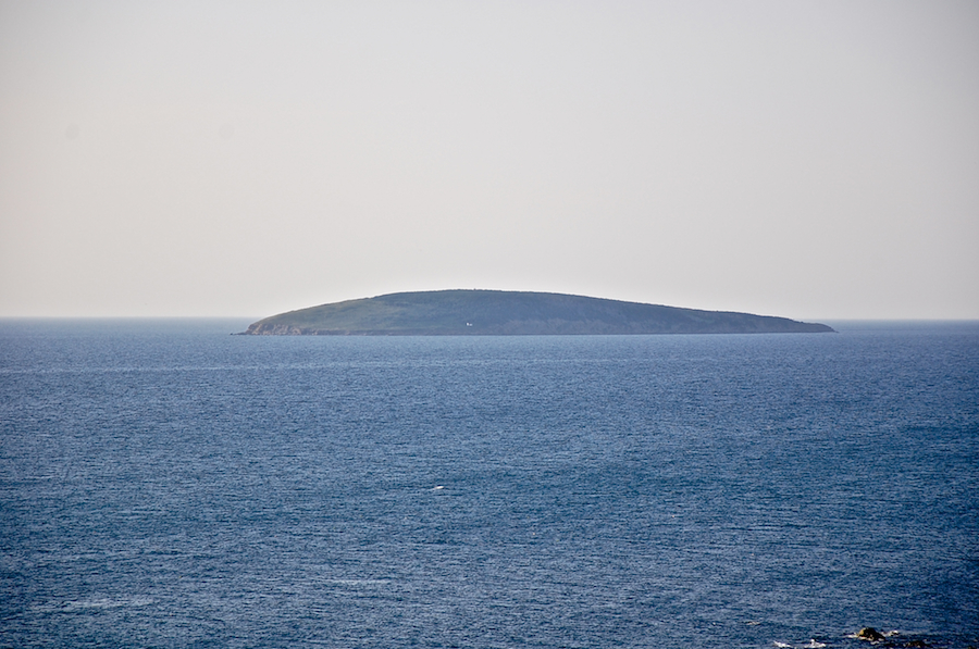 Margaree Island