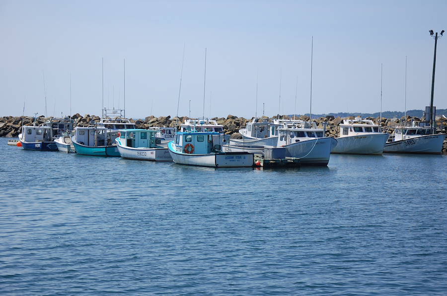 Boats at Murphys Pond