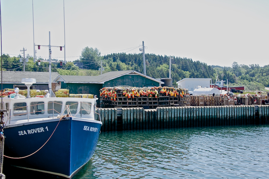 Murphys Pond Wharf on Canada Day