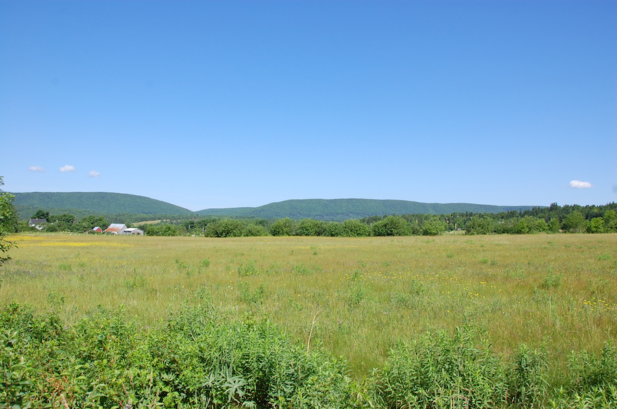 Looking northwest from Fielding Road