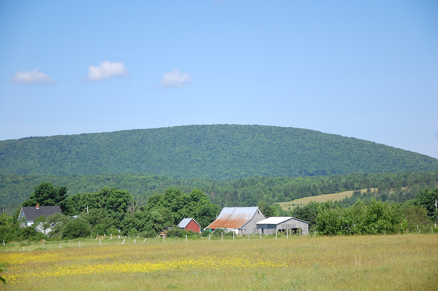 Looking northwest from Fielding Road