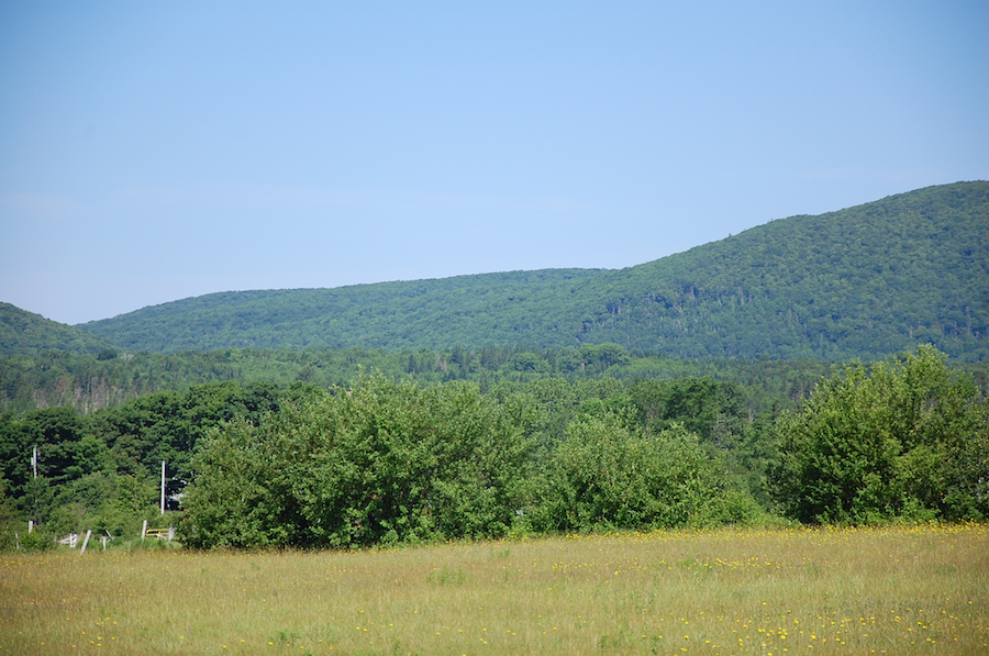 Looking northwest from Fielding Road