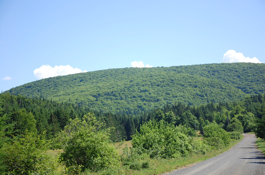 Looking northeast along Fielding Road