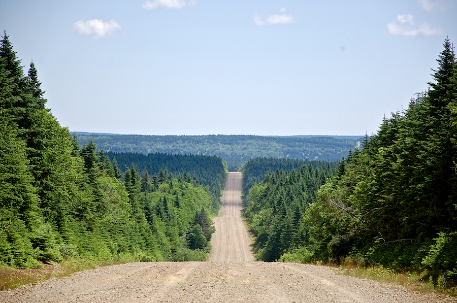 Looking down Fielding Road