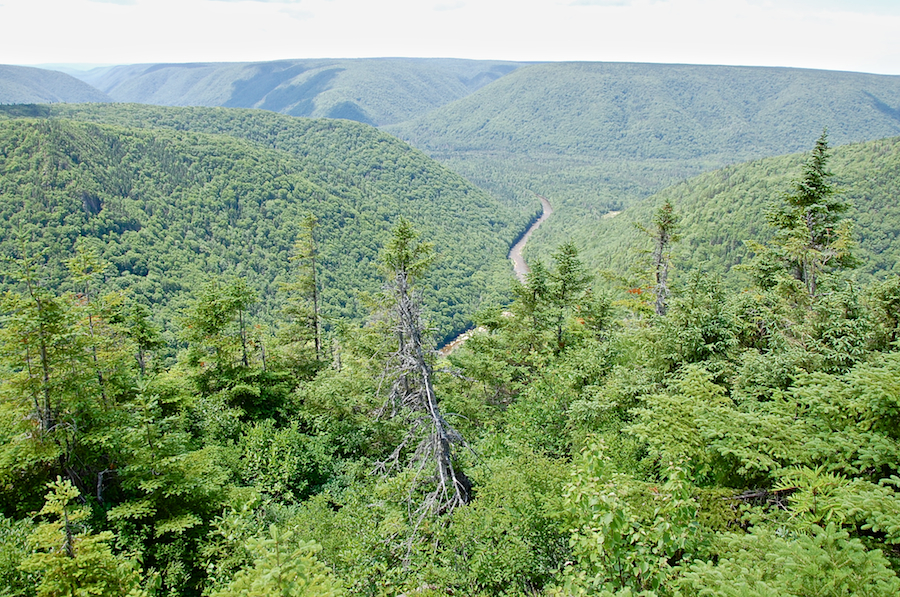 A wide-angled view of the Northeast Margaree River below Cape Clear