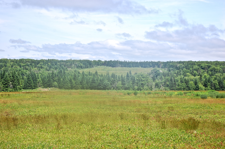 Fields on Whycocomagh Mountain