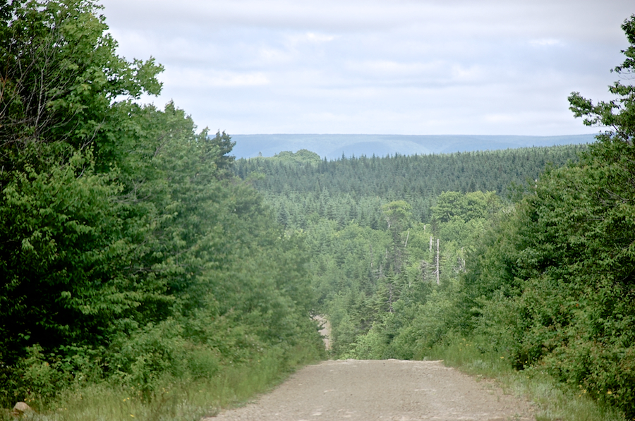 View from the Trout Brook Road