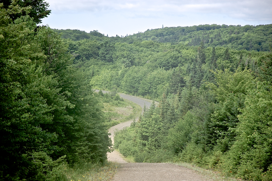 View from the Trout Brook Road