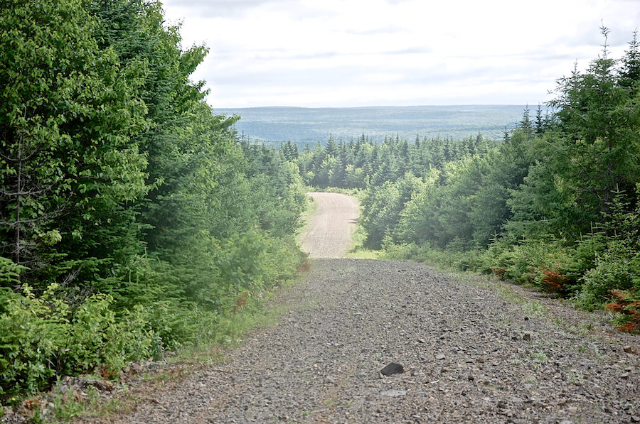 View from Snowmobile Trail 105