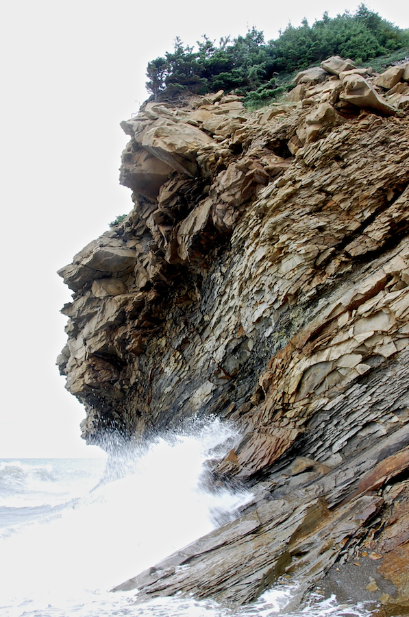 The north cliff face above MacKinnons Brook Mouth