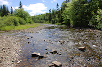 An upstream view of the Southwest Mabou River