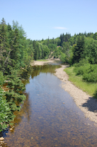 Downstream view of the Southwest Mabou River from Morans Bridge