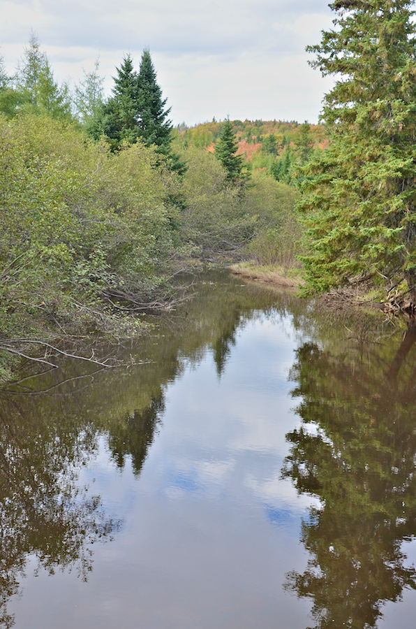 Looking downstream at the bridge over Maple Brook