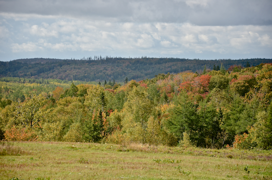 View to the south in Hillsdale