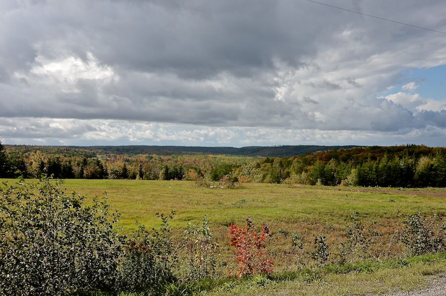 View to the south in Hillsdale