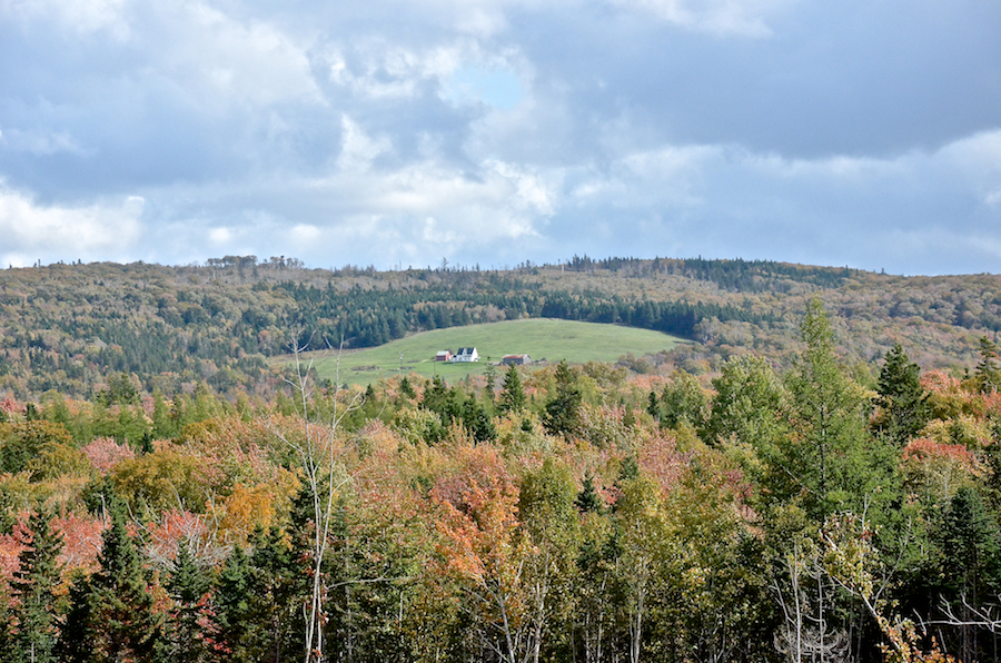 The MacKinnon farm from the Glencoe Road