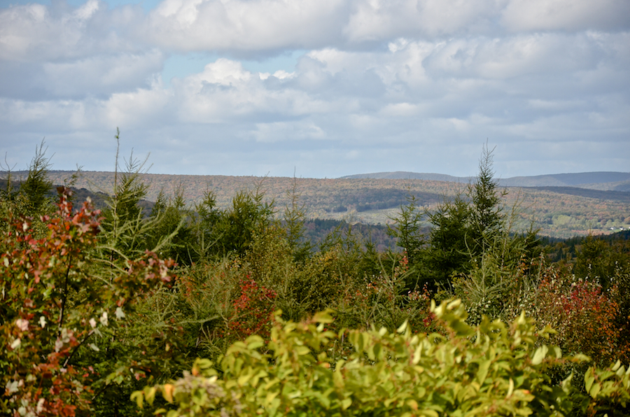 Panorama Part 1: the Southwest Ridge and the southeastern corner of Cape Mabou
