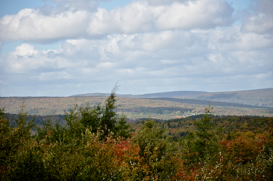 Panorama Part 2: the Southwest Ridge and the eastern edge of Cape Mabou