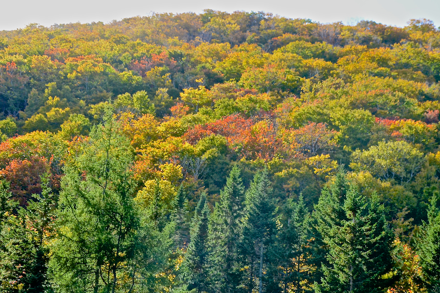 Looking up above the Rosedale Road