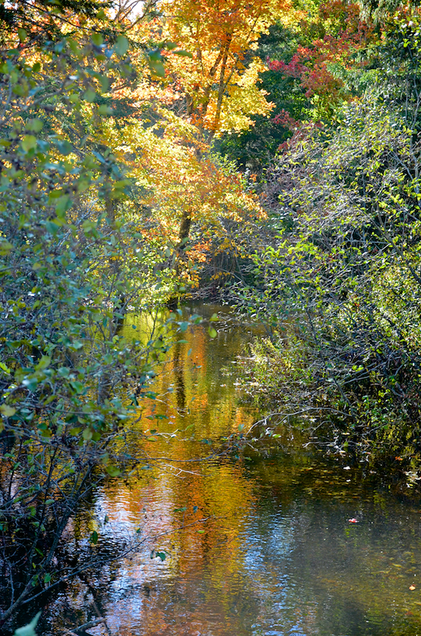 Kewstoke Brook from the Rosedale Road