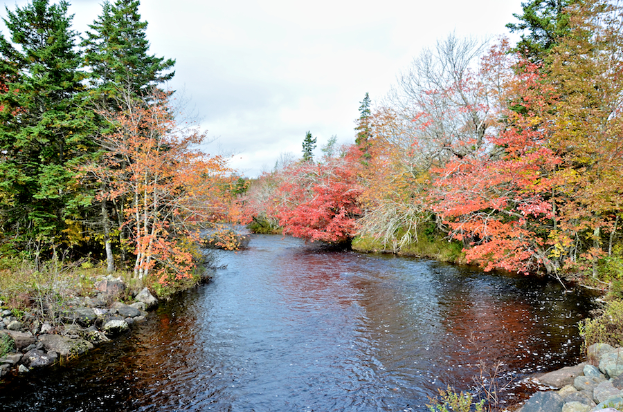 Upstream view of the Catalone River from the New Boston Road