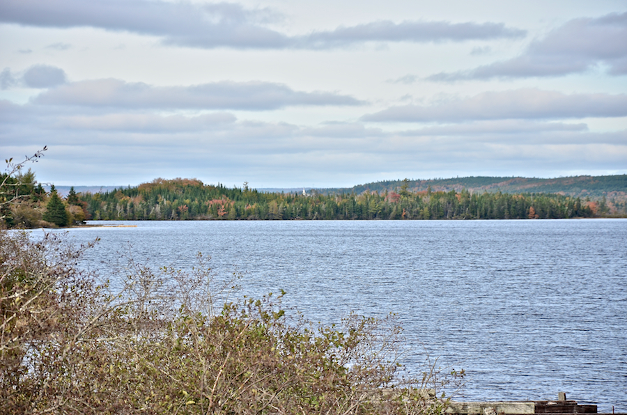 The Mira River north of Victoria Bridge