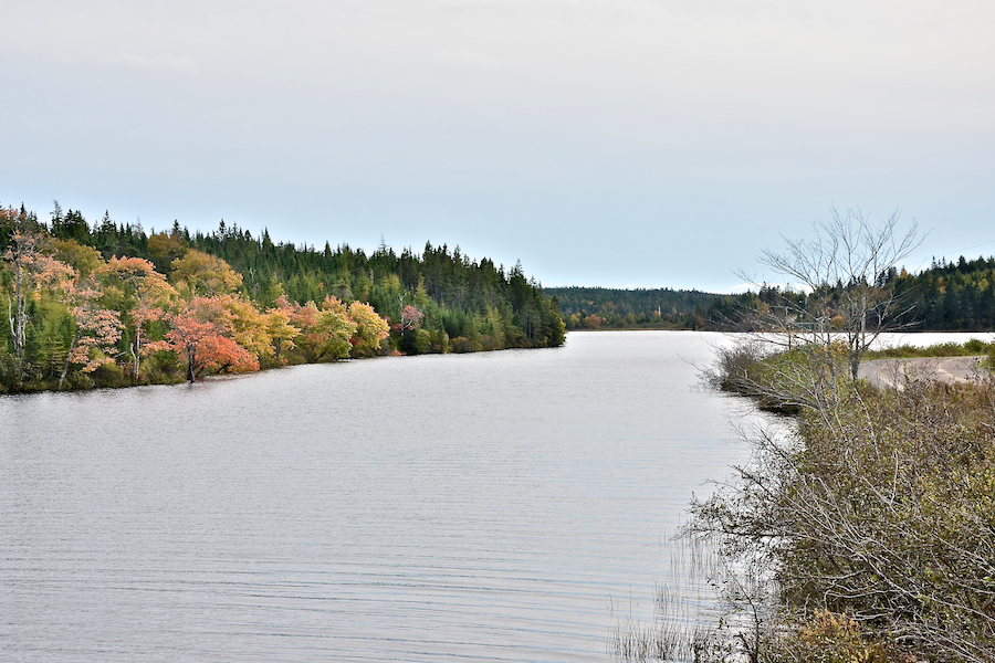 The Mira River south of Victoria Bridge