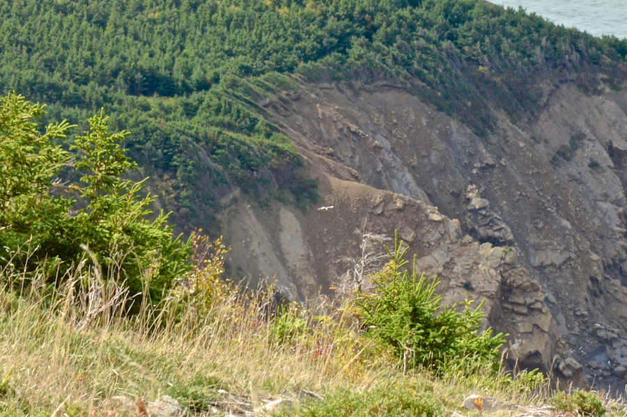 Eagle flying below the Beinn Alasdair Bhain (Fair Alistair’s Mountain) Look-Off