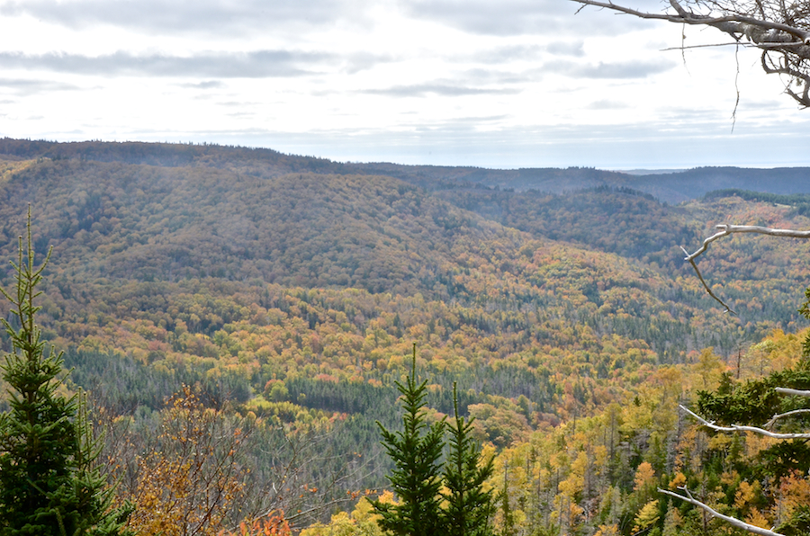 The Cape Mabou Highlands to the southeast from the southern Beaton Trail