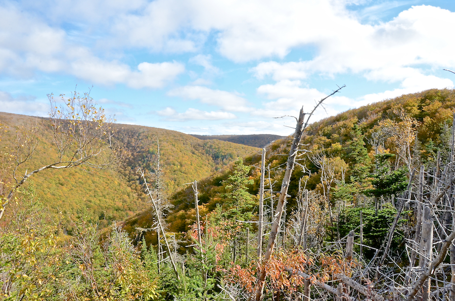 The Cape Mabou Plateau from the Beaton Trail Look-Off: Part 4