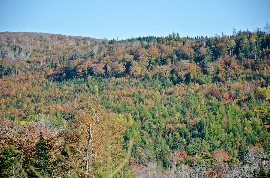 The “Rosedale Ridge” from the Whycocomagh Road: Part 2