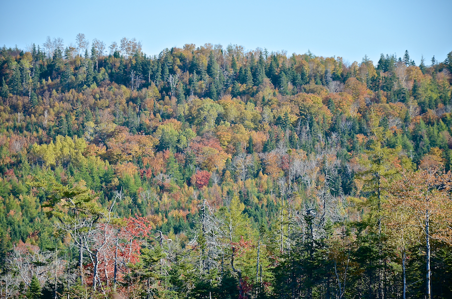 The “Rosedale Ridge” from the Whycocomagh Road: Part 3