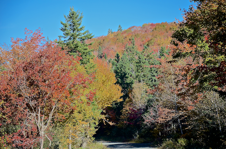 The Whycocomagh Road just north of the Kewstoke Bridge