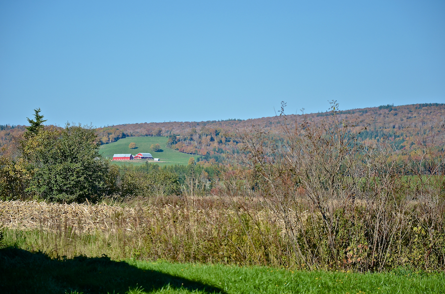 Farm in East Skye Glen