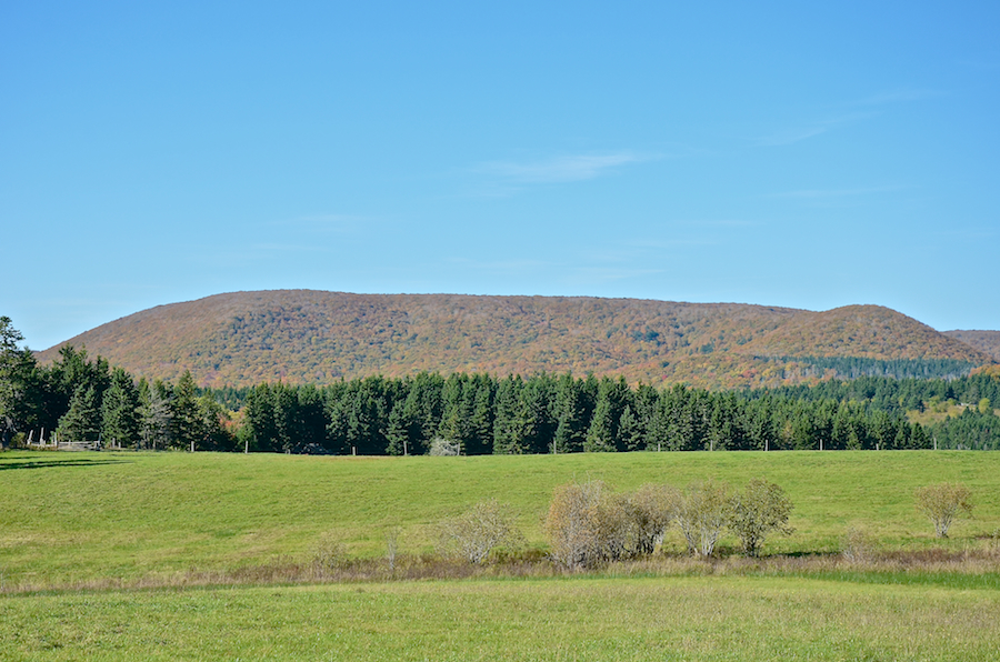 Cape Mabou Panorama from the Smithville Road: Part 1