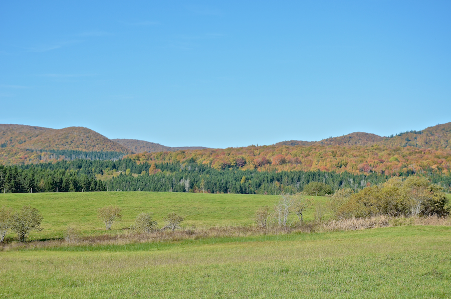 Cape Mabou Panorama from the Smithville Road: Part 2