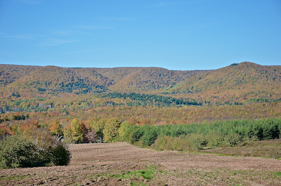 Cape Mabou Panorama from the Smithville Road: Part 3