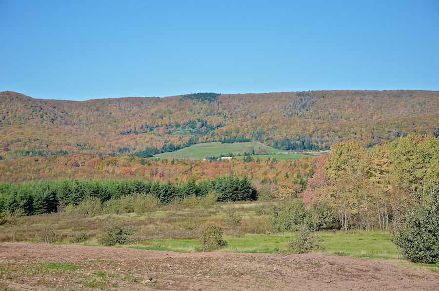 Cape Mabou Panorama from the Smithville Road: Part 4