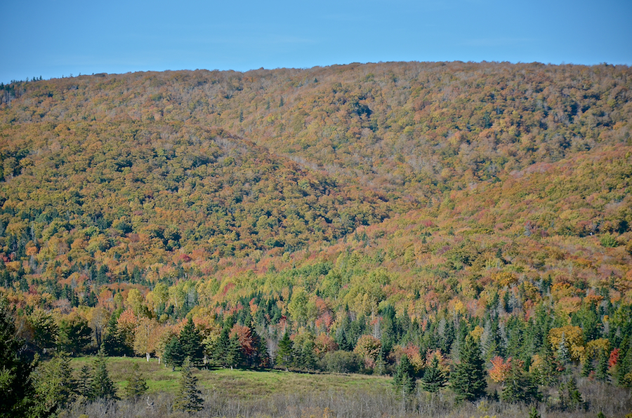 Close-up of Cape Mabou