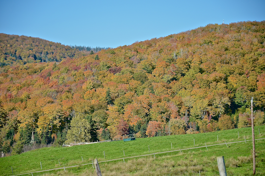 Close-up of the ridge