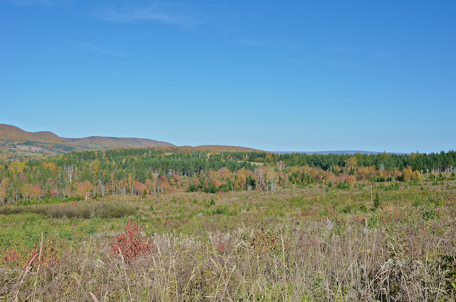 Cape Mabou from the Northeast Mabou Road: Part 3