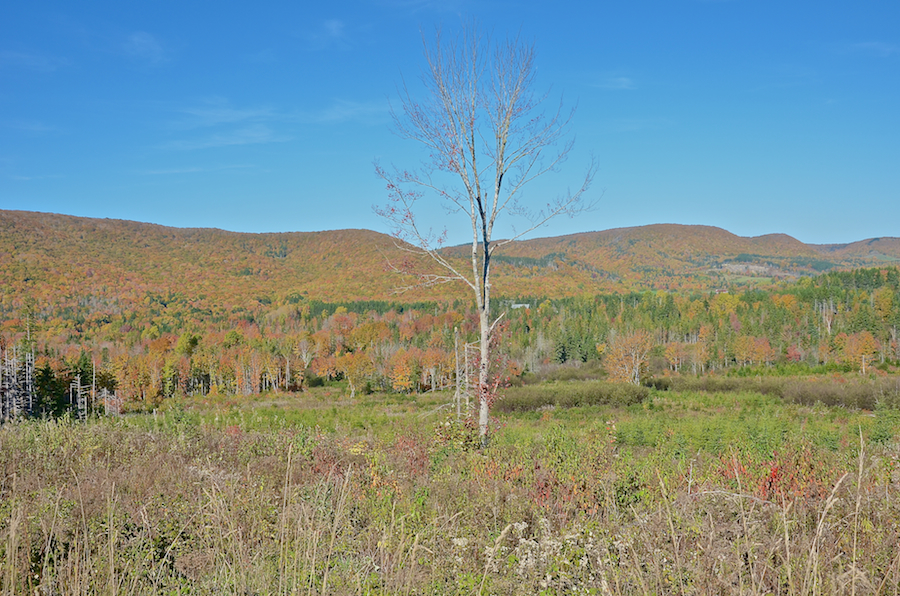 Cape Mabou from the Northeast Mabou Road: Part 2