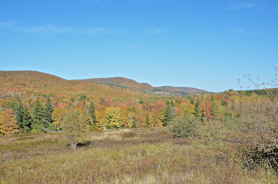 Cape Mabou to the east of north from the Northeast Mabou Road